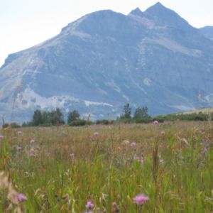 Meet your Posher, Treasures and Adventures